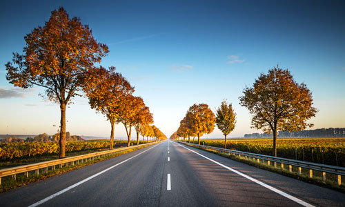 Reisespass | Helvetic Series of Poker